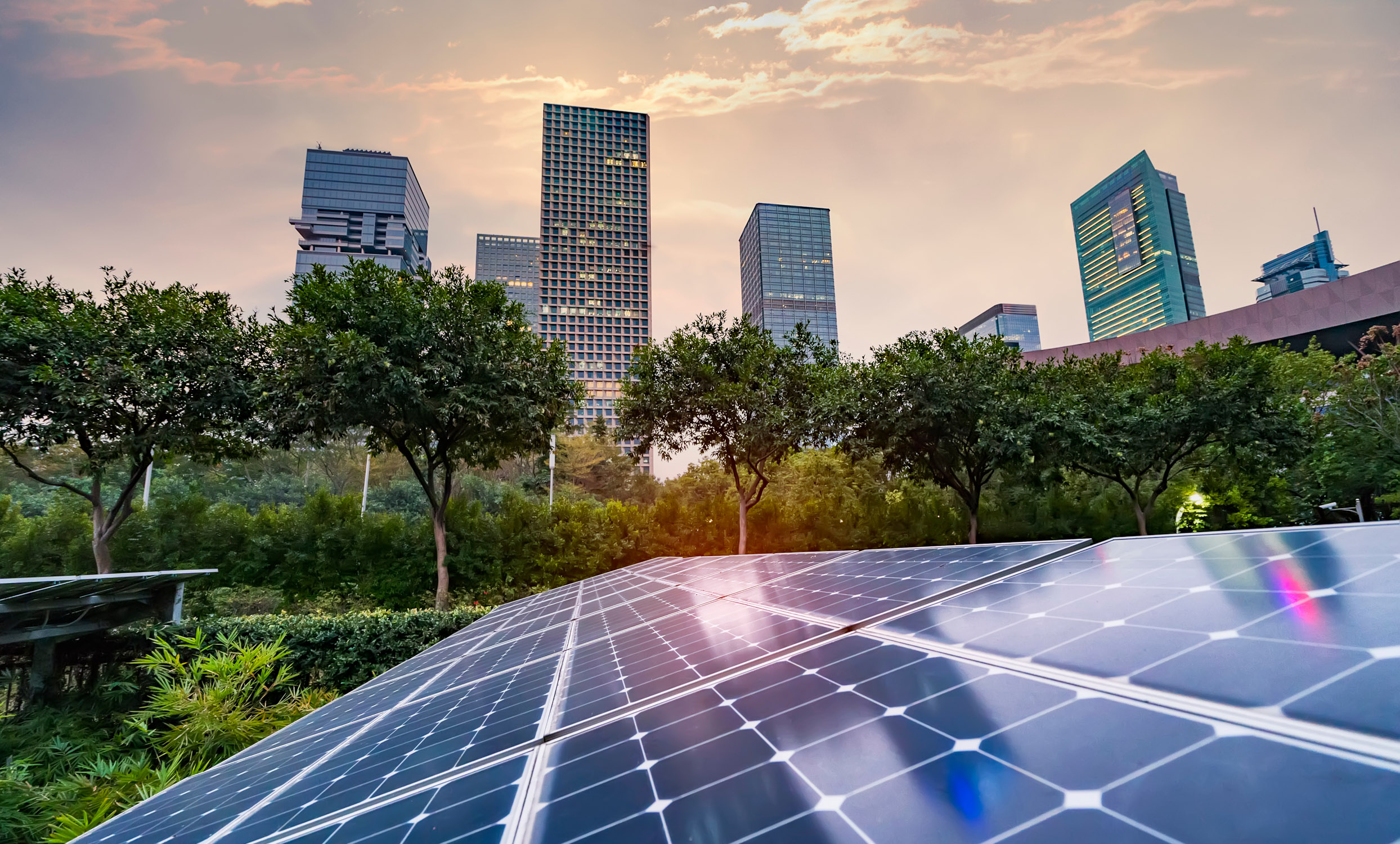 Solar panels on top of a business building optimizing you energy potential.